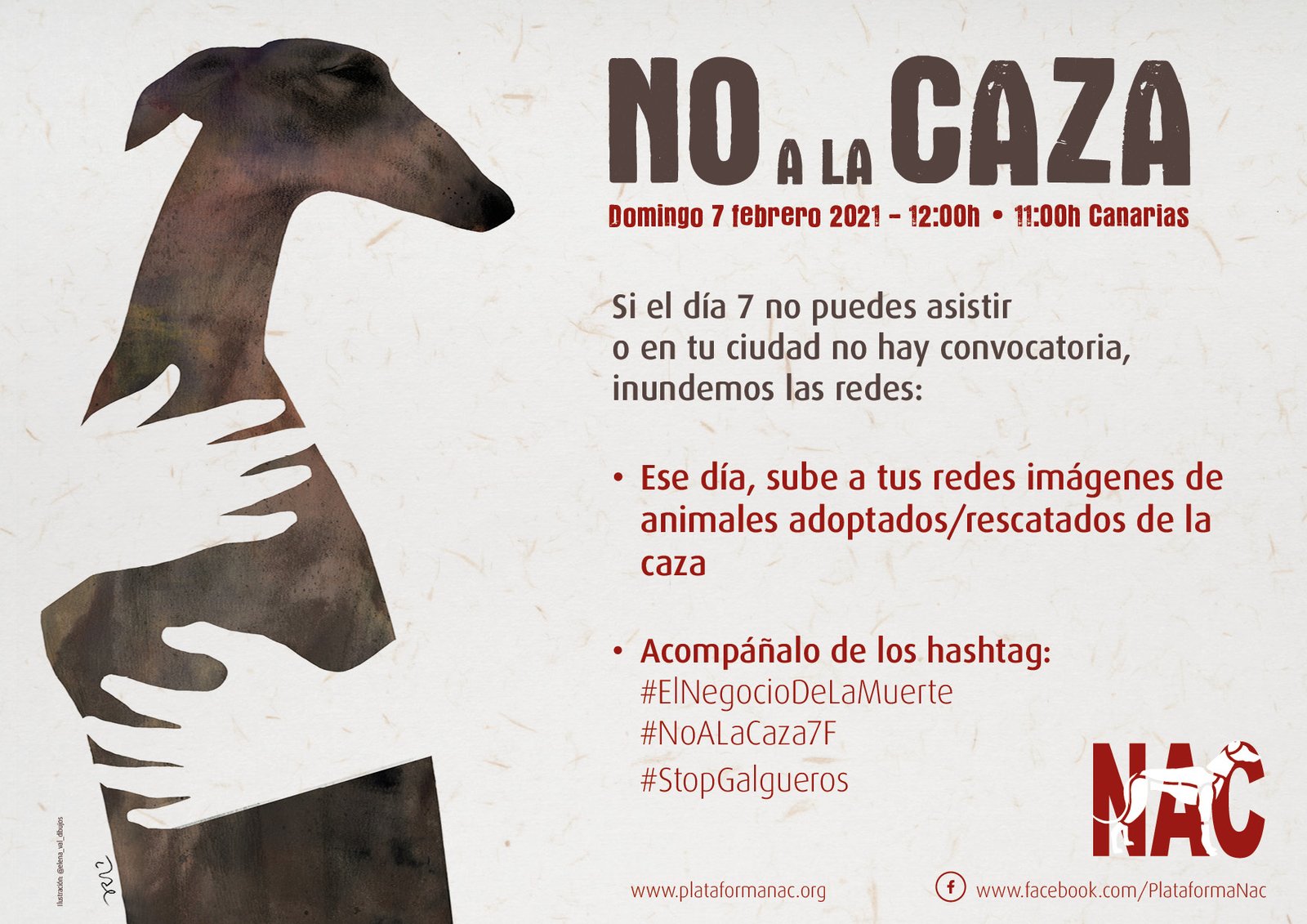 redes3