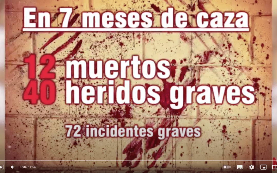 12 muertos y 40 heridos en 7 meses. LAS CIFRAS DE LA CAZA.